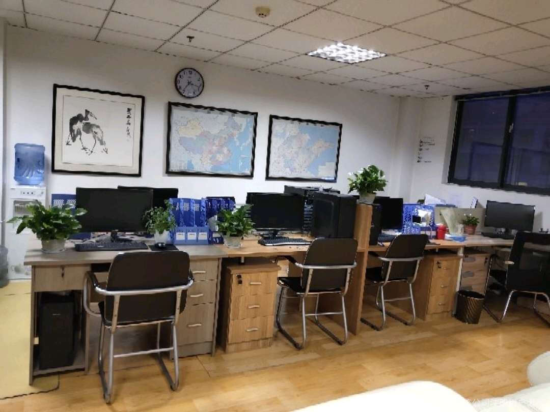 数字化时代的信息咨询 青岛盛世众联的服务实践